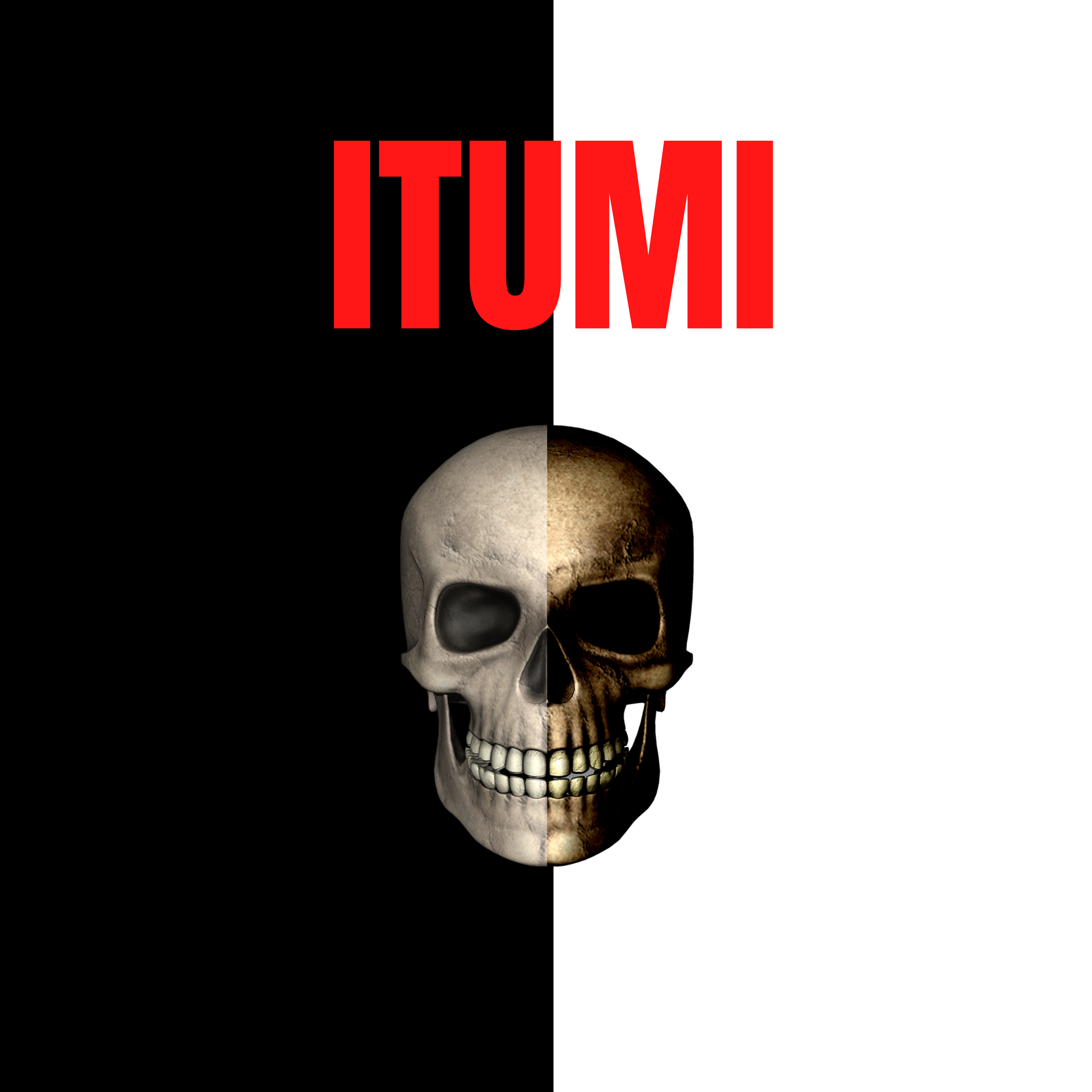 ils ont validé le site